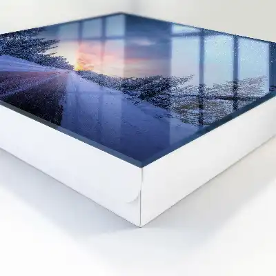 Stele peste drum în pădurea de iarnă