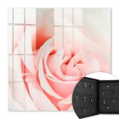 Trandafir romantic în nuanțe pastelate