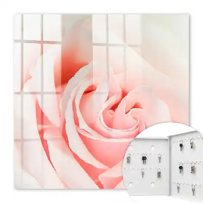 Trandafir romantic în nuanțe pastelate