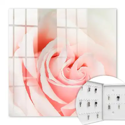 Trandafir romantic în nuanțe pastelate