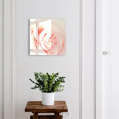 Trandafir romantic în nuanțe pastelate