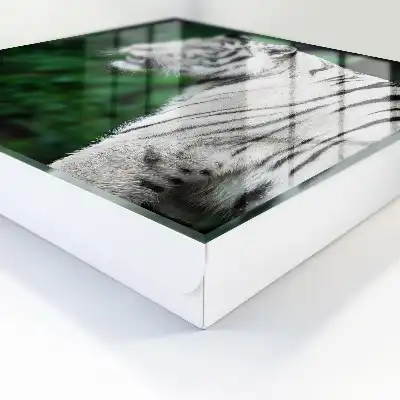 Tigru alb într-un mediu verde