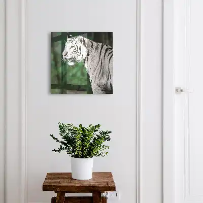 Tigru alb într-un mediu verde