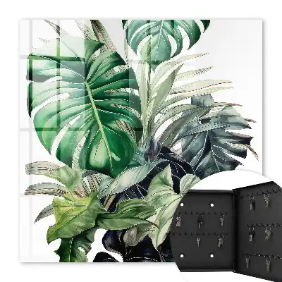 Frunze tropicale exotice