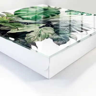 Frunze tropicale exotice