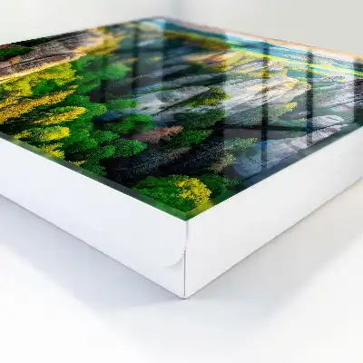 Stânci și pădure verde