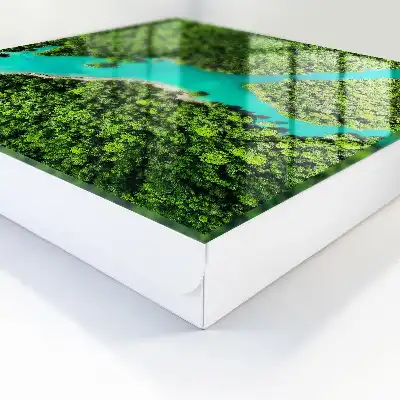 Paradis verde, armonie a naturii