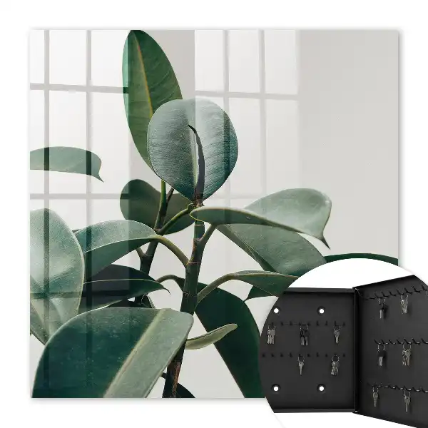Frunze de ficus pe fundal luminos