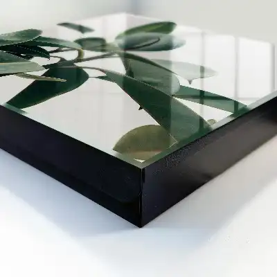 Frunze de ficus pe fundal luminos
