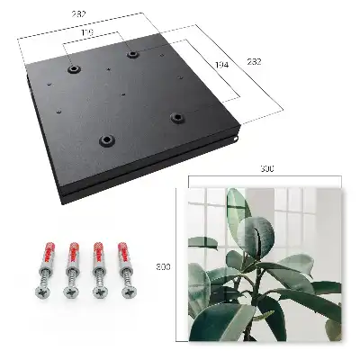 Frunze de ficus pe fundal luminos