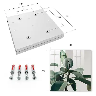 Frunze de ficus pe fundal luminos