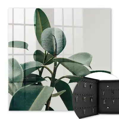 Frunze de ficus pe fundal luminos