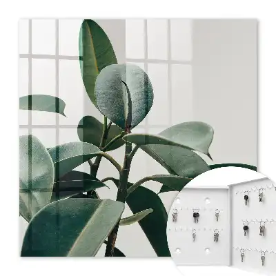 Frunze de ficus pe fundal luminos