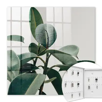 Frunze de ficus pe fundal luminos