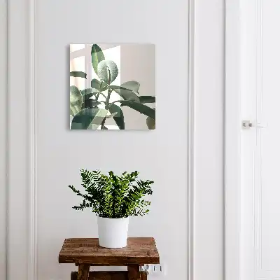 Frunze de ficus pe fundal luminos