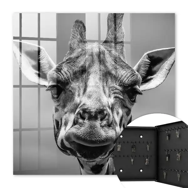 Portret de girafă în tonuri de alb-negru