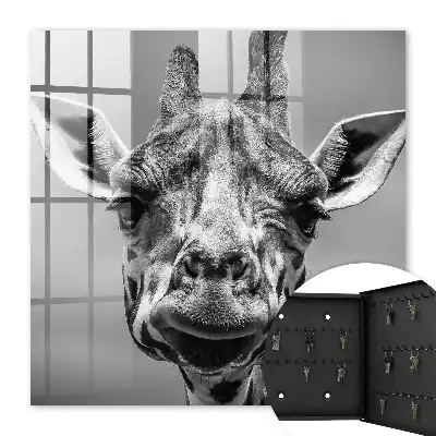 Portret de girafă în tonuri de alb-negru