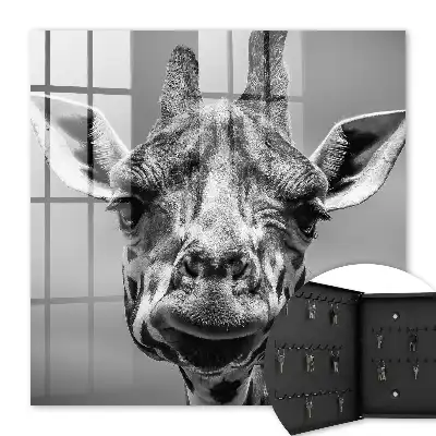 Portret de girafă în tonuri de alb-negru