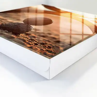 Armonia abstractă a geometriei naturii