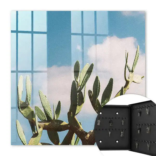 Cactus verde cer albastru