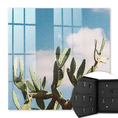 Cactus verde cer albastru