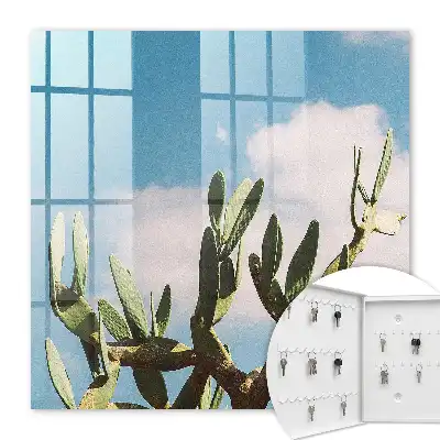 Cactus verde cer albastru
