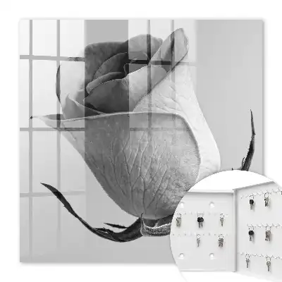 Eleganță trandafir minimalism natură