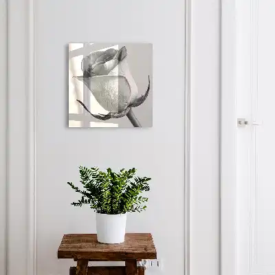 Eleganță trandafir minimalism natură