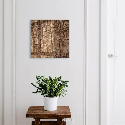 Scoarță de copac cu un model natural