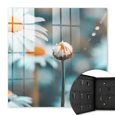 Fundal neclar cu luminozitate florală
