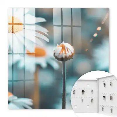 Fundal neclar cu luminozitate florală