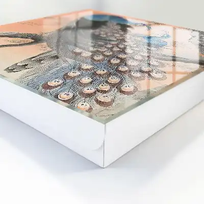 Frumusețea păunului în fundal pastel