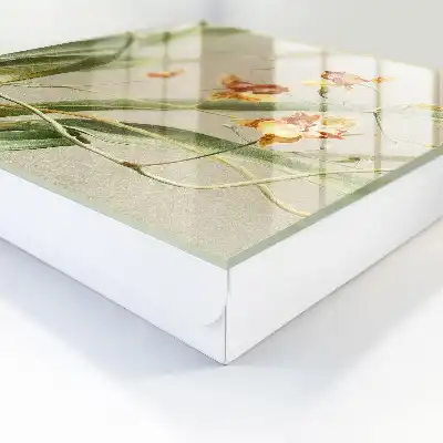 Flori de viță de vie vegetație verde