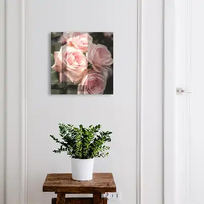 Trandafiri roz în plină floare