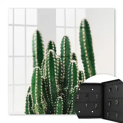 Cactuși verzi într-un stil modern