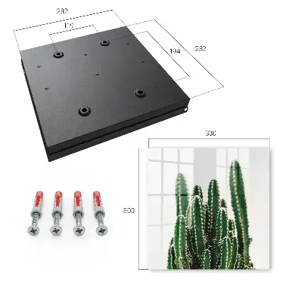 Cactuși verzi într-un stil modern