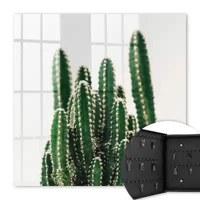 Cactuși verzi într-un stil modern
