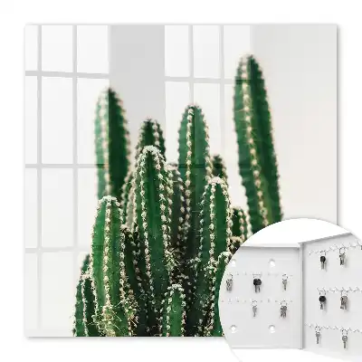 Cactuși verzi într-un stil modern
