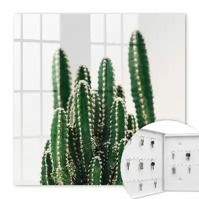 Cactuși verzi într-un stil modern