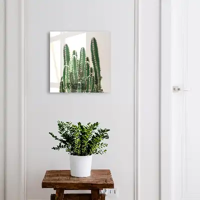Cactuși verzi într-un stil modern