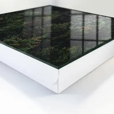 O pădure verde plină de armonie