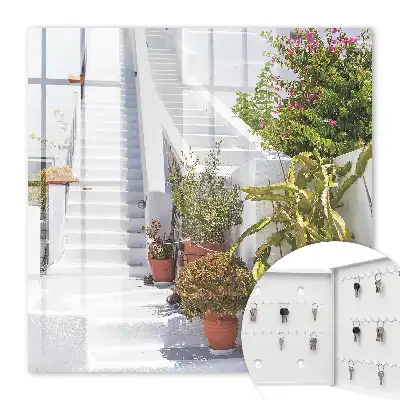 Scări cu plante în ghiveci