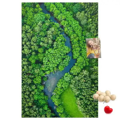 Panou din pluta Pârâu de pădure