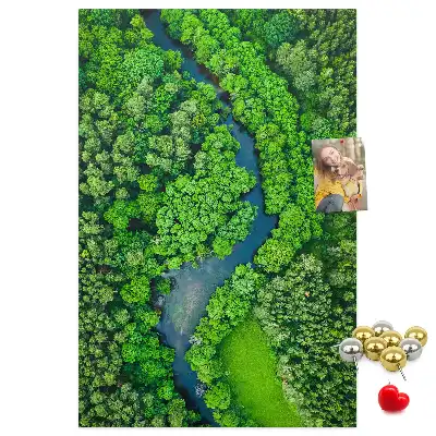 Panou din pluta Pârâu de pădure