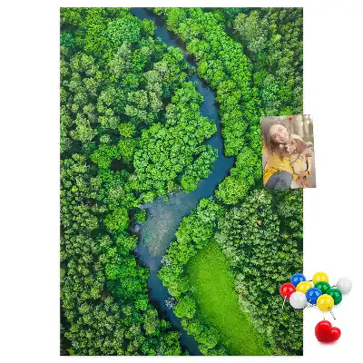 Panou din pluta Pârâu de pădure
