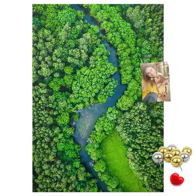 Panou din pluta Pârâu de pădure