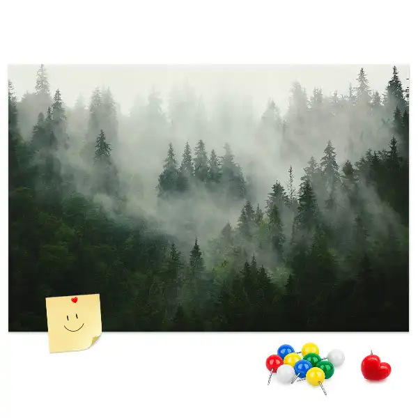 Panou plută Pădure în ceață dimineață