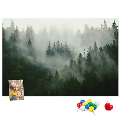 Panou plută Pădure în ceață dimineață