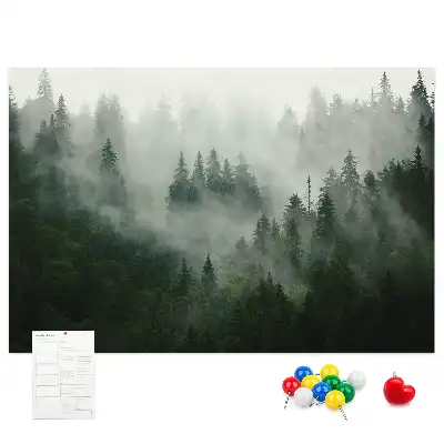 Panou plută Pădure în ceață dimineață