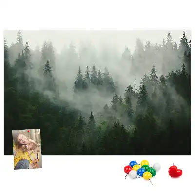 Panou plută Pădure în ceață dimineață